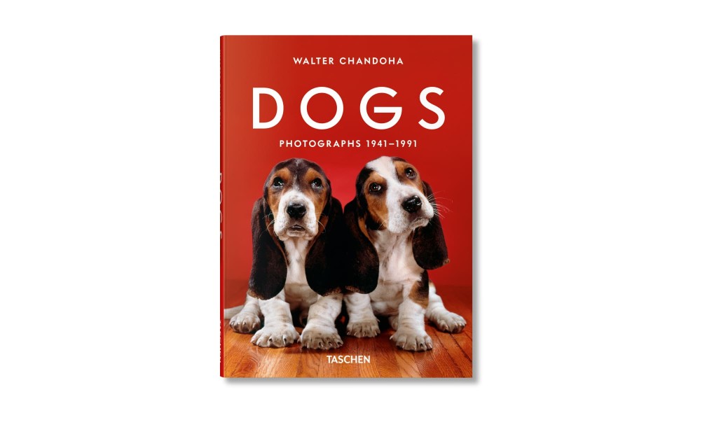 Walter Chandoha. Dogs. Photographs 1941–1991