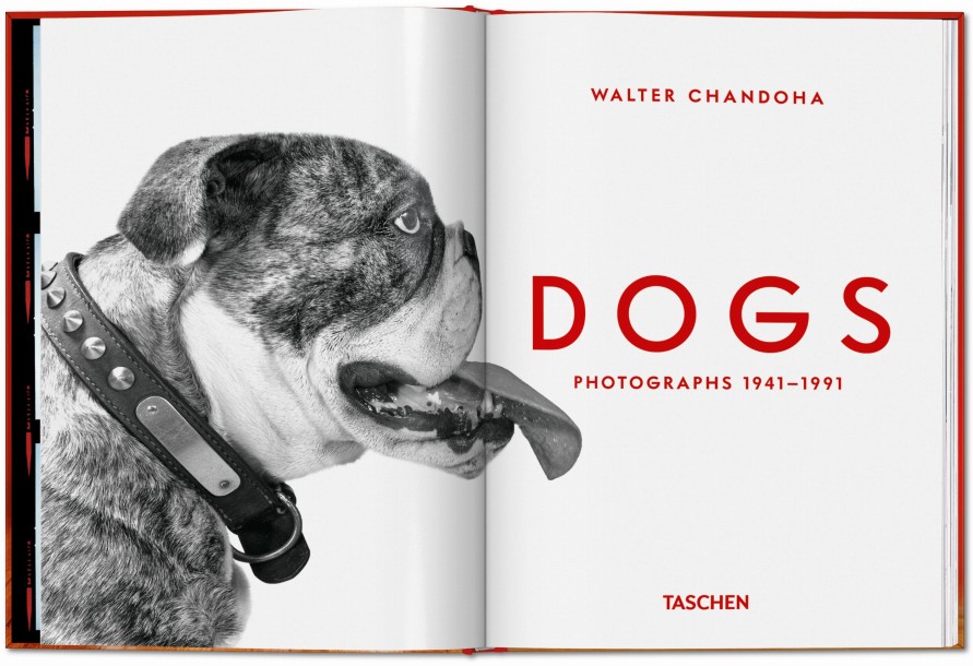 Walter Chandoha. Dogs. Photographs 1941–1991