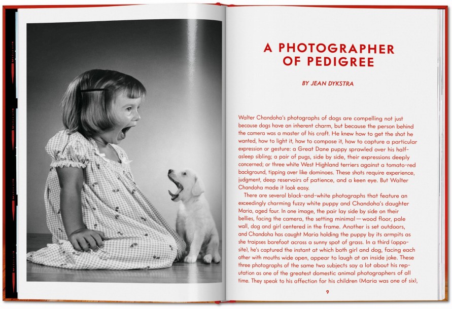 Walter Chandoha. Dogs. Photographs 1941–1991