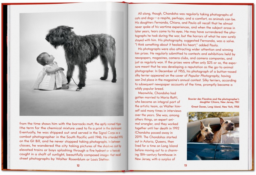 Walter Chandoha. Dogs. Photographs 1941–1991