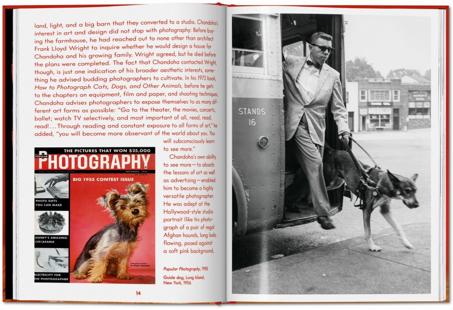 Walter Chandoha. Dogs. Photographs 1941–1991