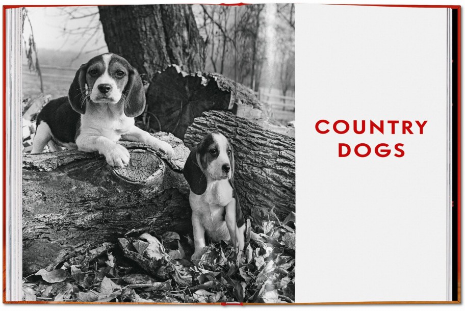 Walter Chandoha. Dogs. Photographs 1941–1991