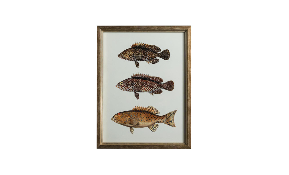 Постер The Fishes Collection, набор 4 шт