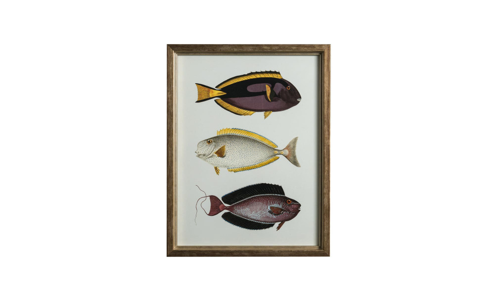 Постер The Fishes Collection, набор 4 шт