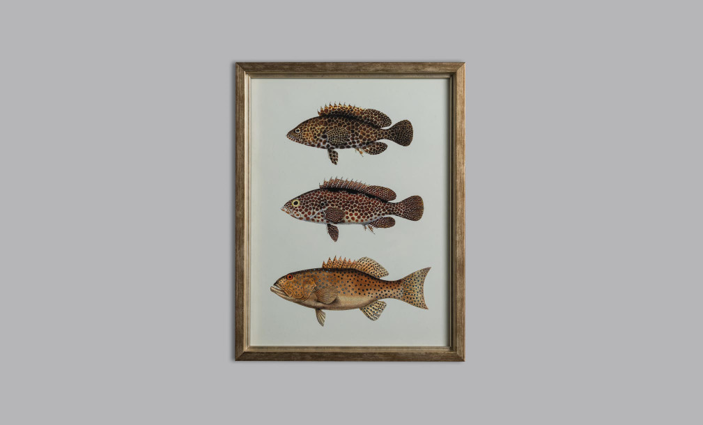 Постер The Fishes Collection, набор 4 шт