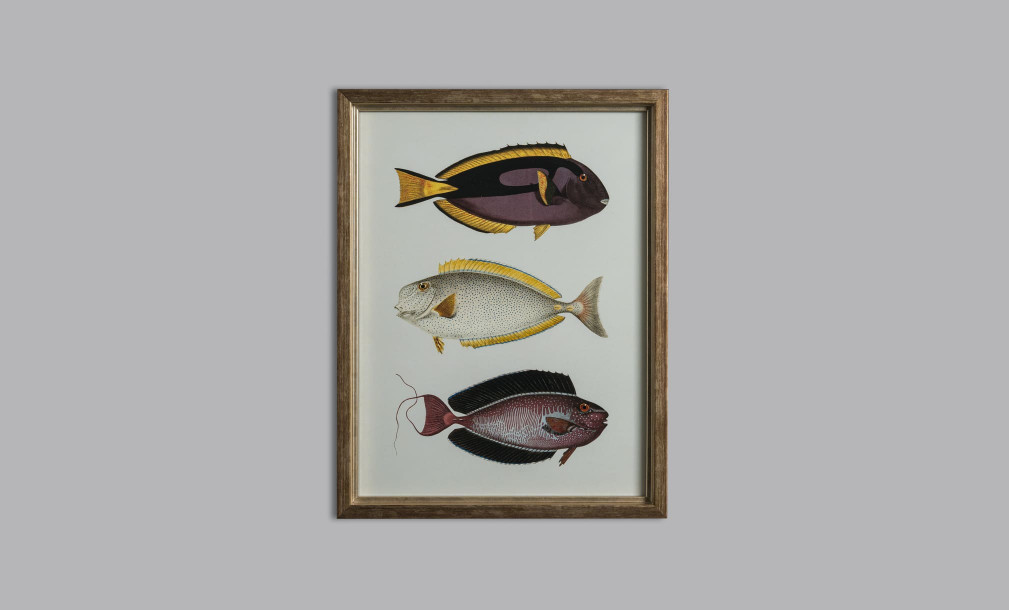 Постер The Fishes Collection, набор 4 шт