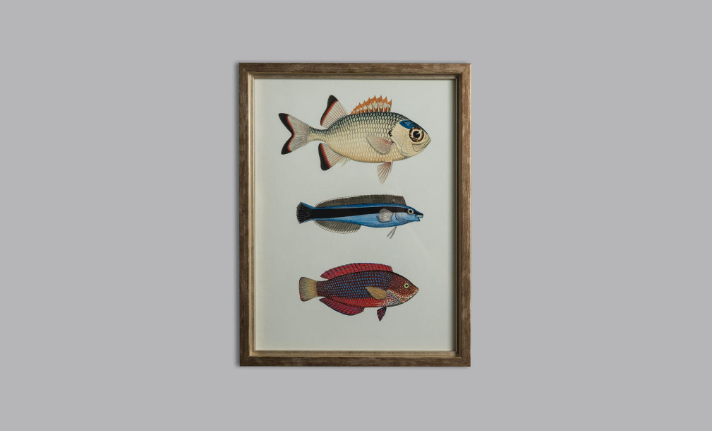 Постер The Fishes Collection, набор 4 шт
