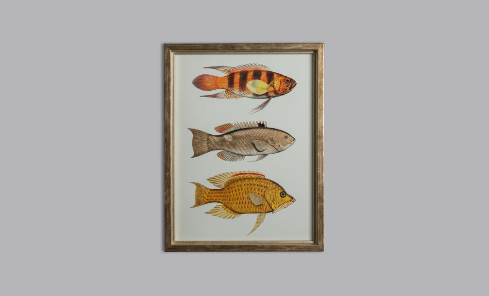 Постер The Fishes Collection, набор 4 шт