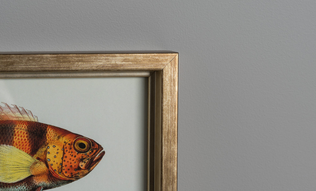 Постер The Fishes Collection, набор 4 шт