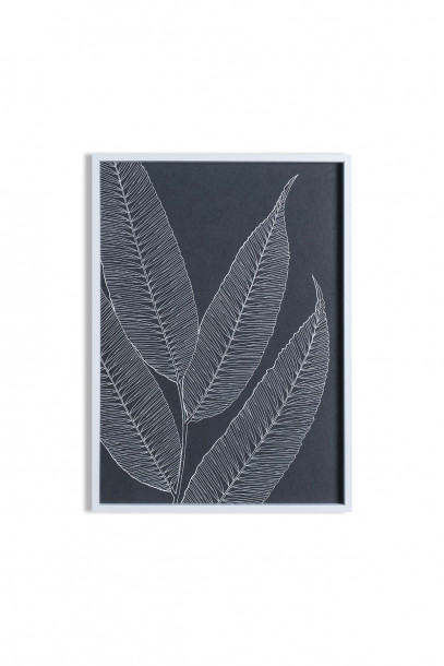 Постер Ferns II