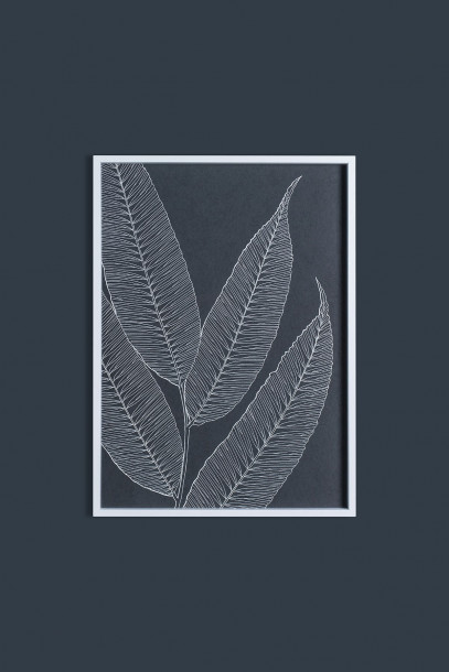 Постер Ferns II