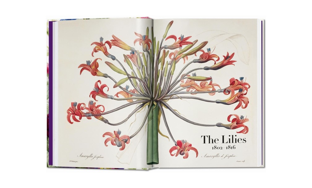 Книга «Книга цветов»/Book of Flowers