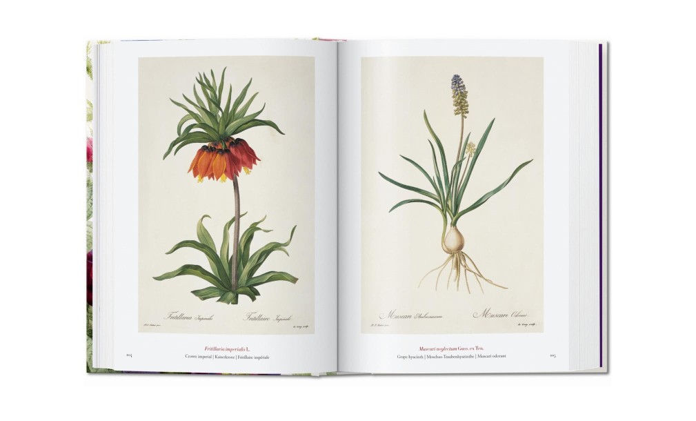Книга «Книга цветов»/Book of Flowers
