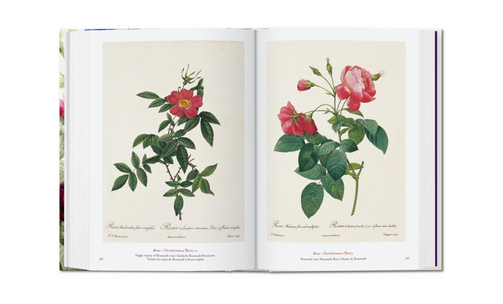 Книга «Книга цветов»/Book of Flowers