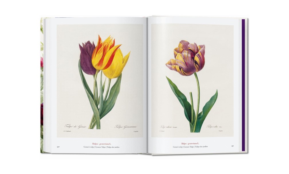 Книга «Книга цветов»/Book of Flowers