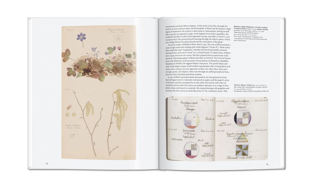 Книга «Хильма аф Клинт»/Hilma af Klint