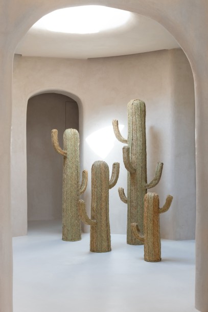 Декоративный Кактус малый