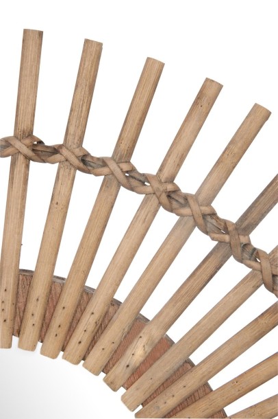 Декоративный Кактус средний