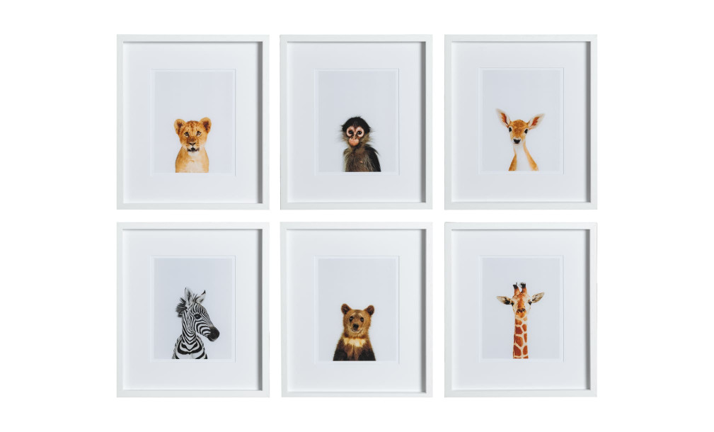 Постеры Animal Prints III (набор 6 шт)