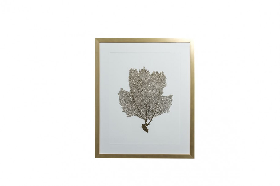 Постер Gold Foil Sea Fan II