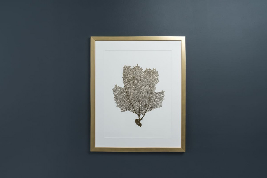 Постер Gold Foil Sea Fan II