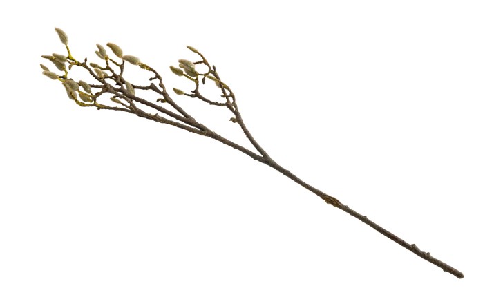 Декоративная искусственная ветвь Tropical Fruit Branch, 90 см