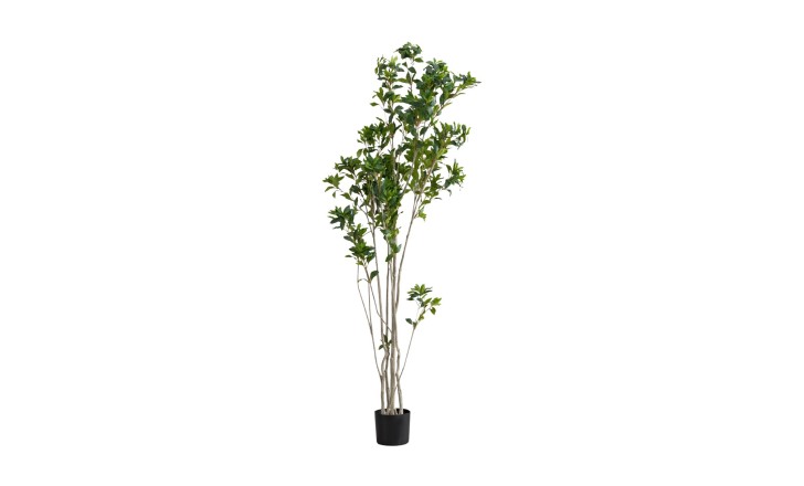 Декоративное искусственное дерево Dracaena, 220 см
