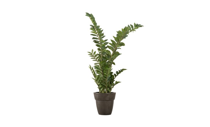 Декоративное искусственное дерево Zamioculcas, выс. 130 см
